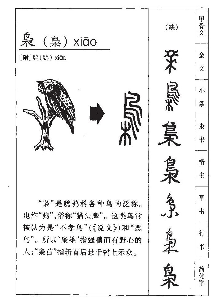 枭字字源字形