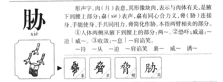 胁字字源字形