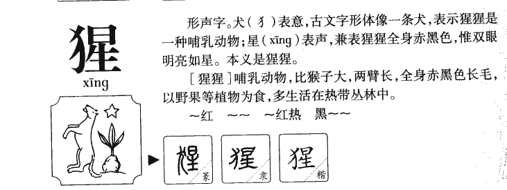 猩字字源字形