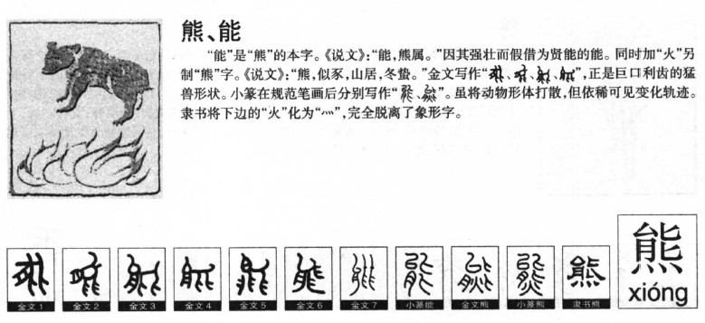 熊字字源字形