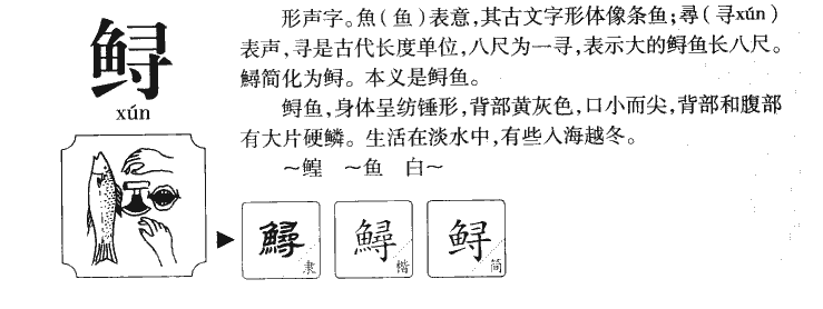 鲟字字源字形