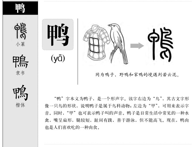 鸭字字源字形