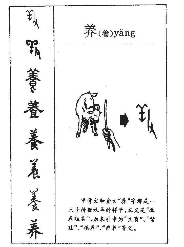 养字字源字形