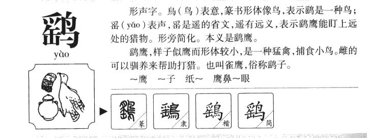 鹞字字源字形