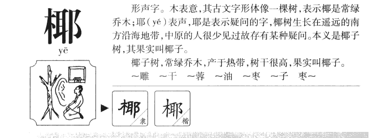 椰字字源字形