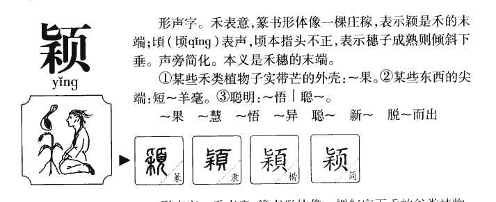颖字字源字形