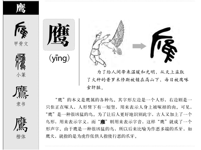 鹰字字源字形
