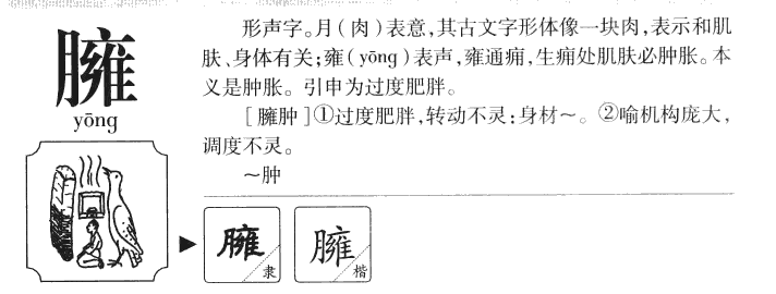 臃字字源字形