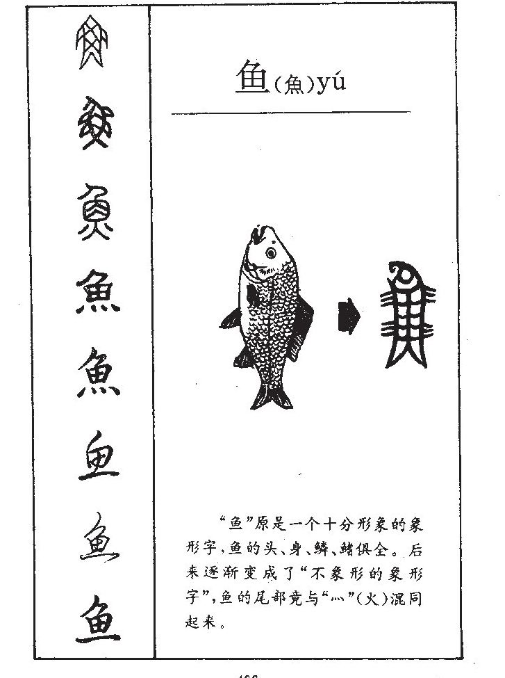 鱼字字源字形