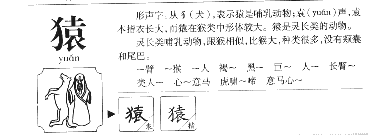 猿字字源字形