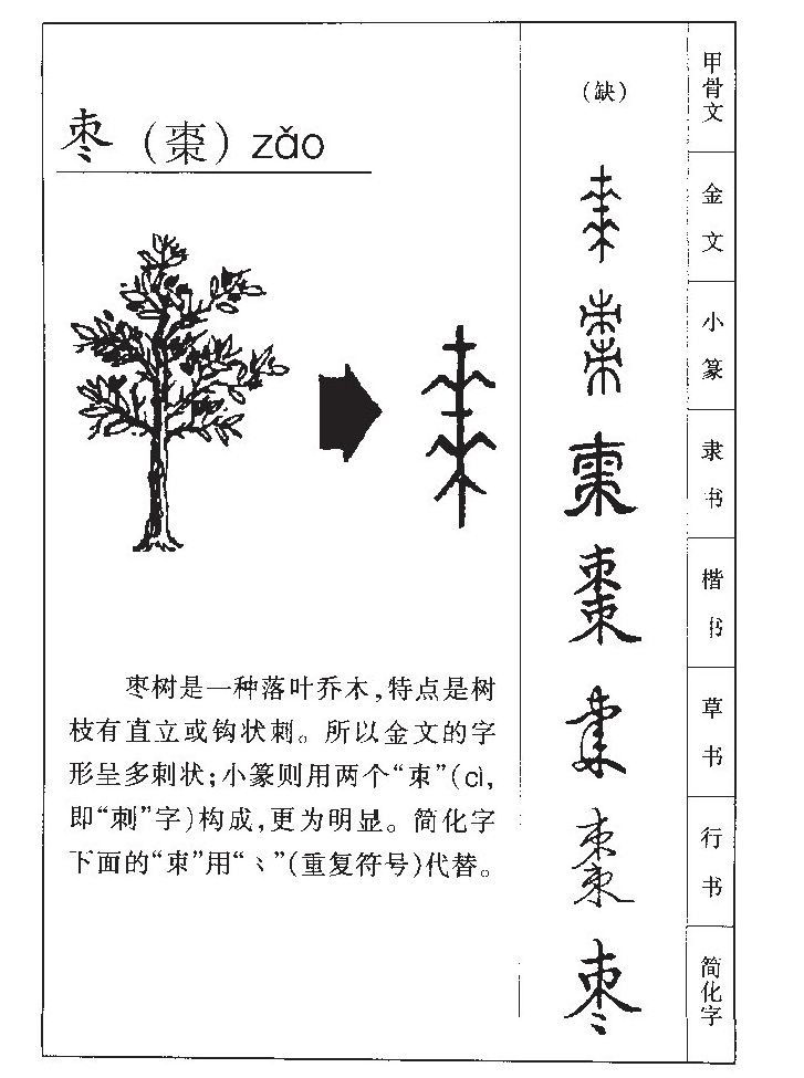 枣字字源字形