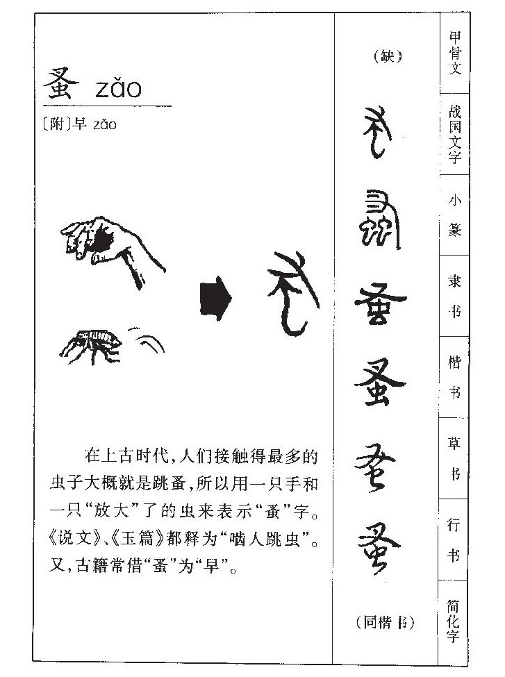 蚤字字源字形