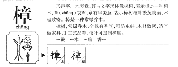 樟字字源字形