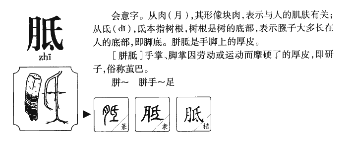 胝字字源字形