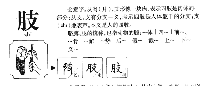 肢字字源字形