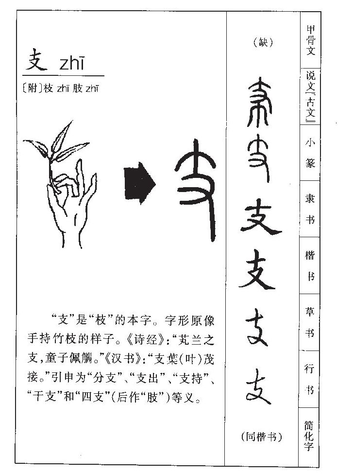 支字字源字形