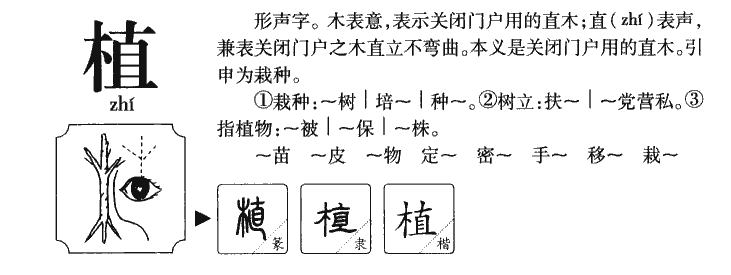 植字字源字形