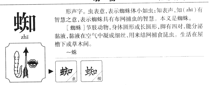 蜘字字源字形