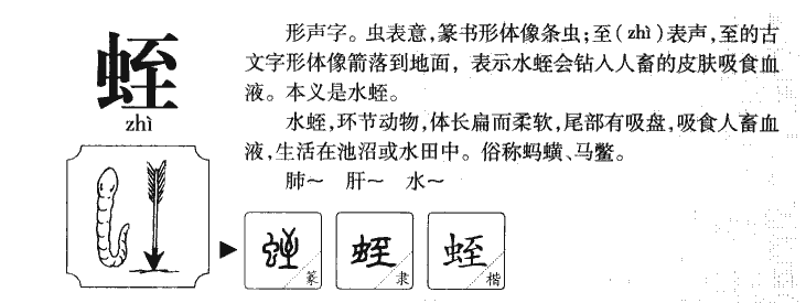 蛭字字源字形