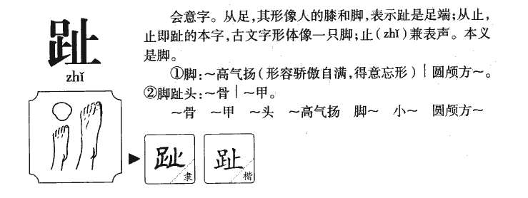 趾字字源字形