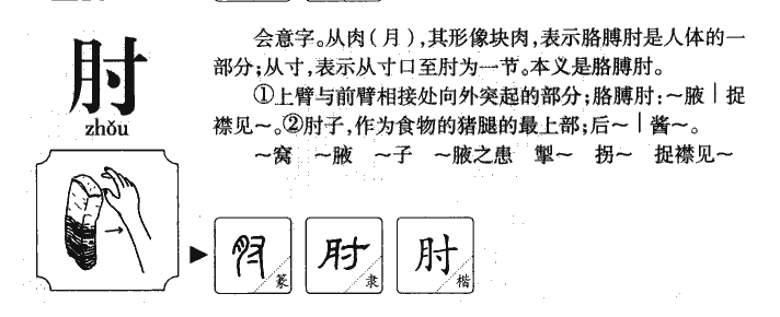 肘字字源字形