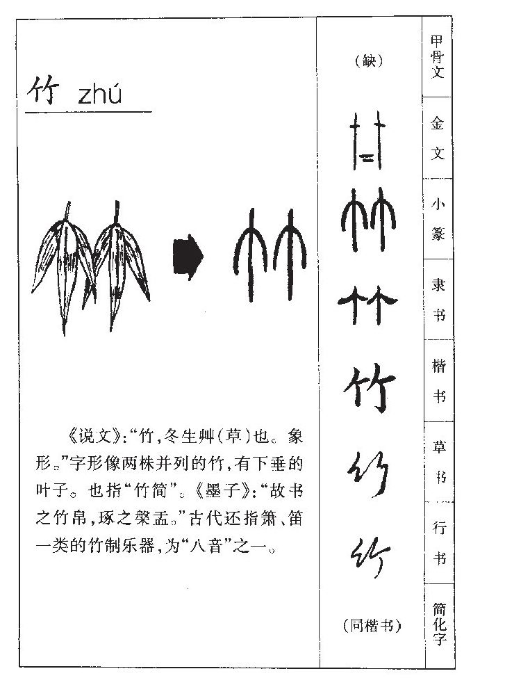 竹字字源字形