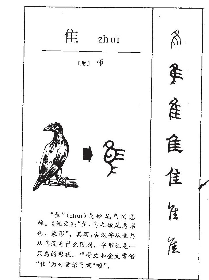 隹字字源字形