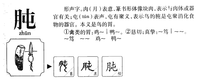 肫字字源字形
