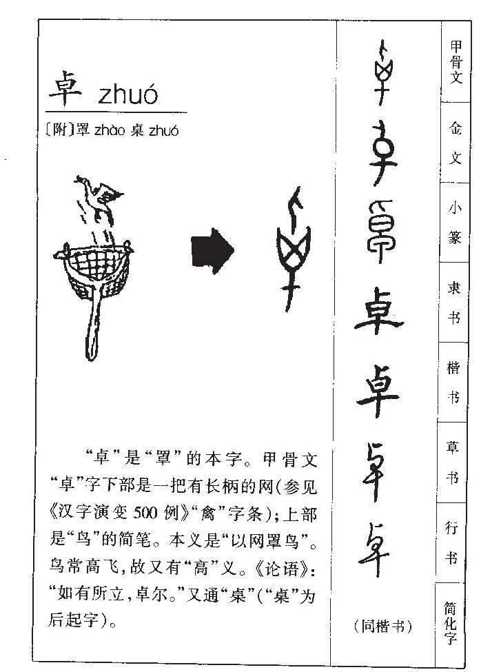 卓字字源字形