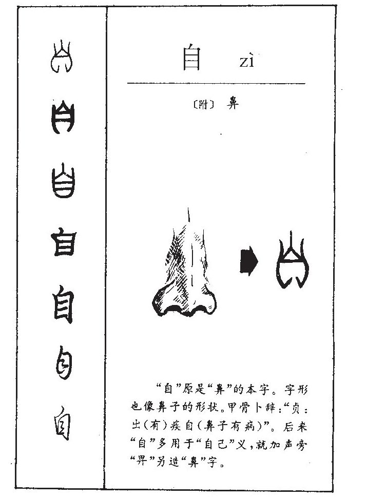 自字字源字形