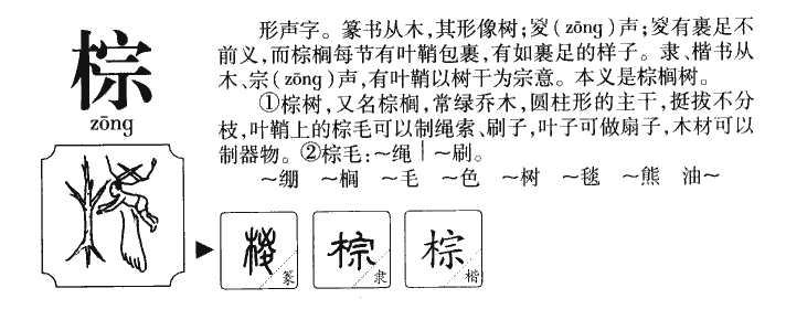 棕字字源字形