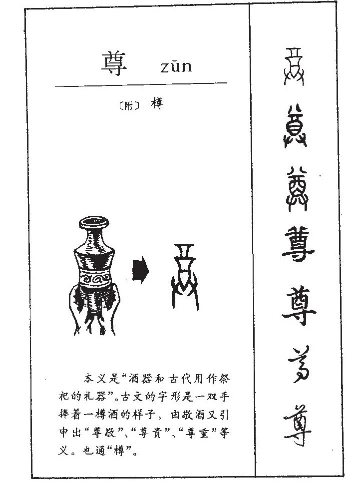 尊字字源字形