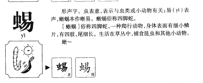 蜴字字源字形